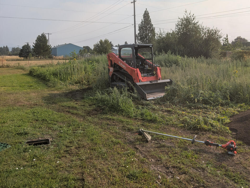 land clearing land clearing